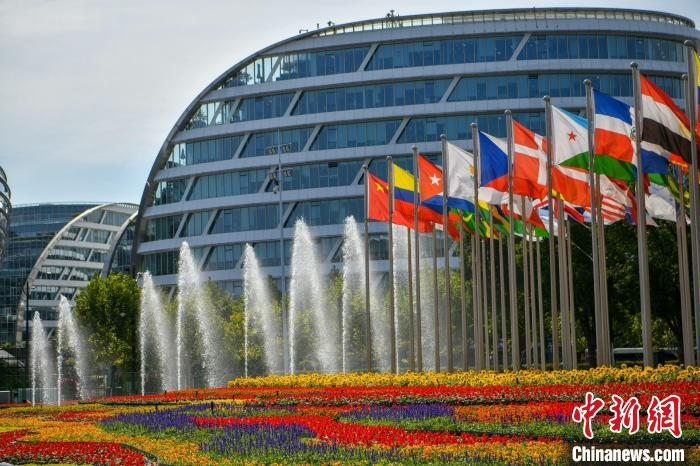 第五屆進博會場館景觀裝飾全面定妝?！￡悏魸?攝